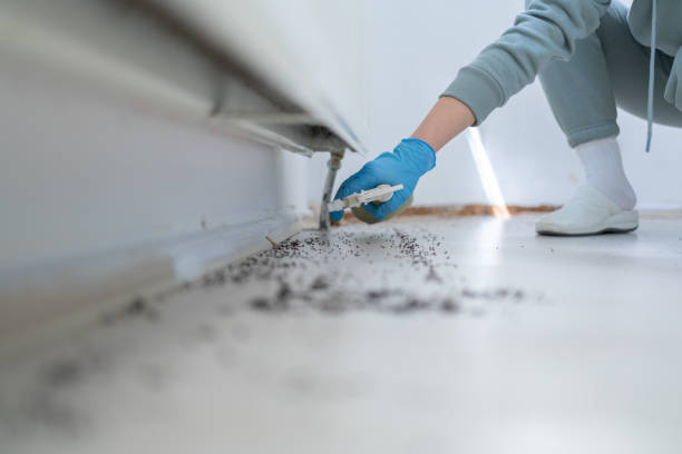 Best Cockroach Control Services  in Yosemite Lakes, CA